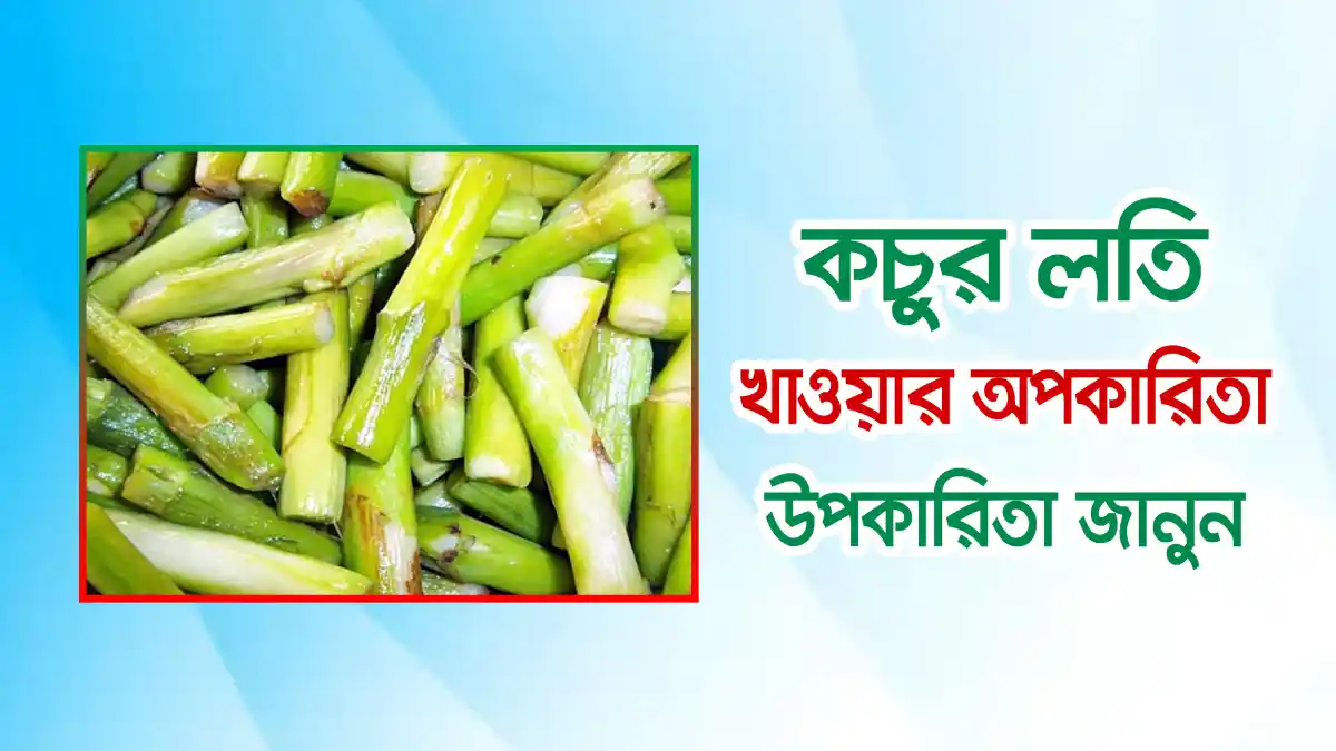 কচুর লতি খাওয়ার অপকারিতা