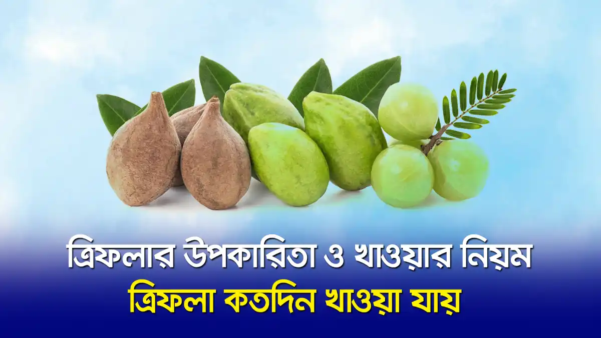 ত্রিফলার উপকারিতা ও খাওয়ার নিয়ম
